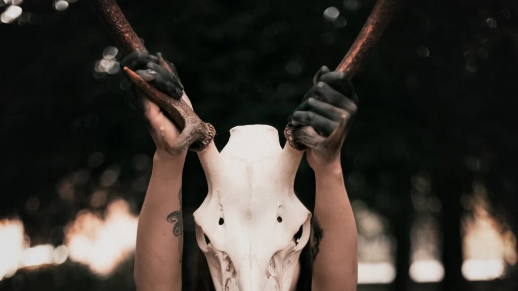 Bruxa